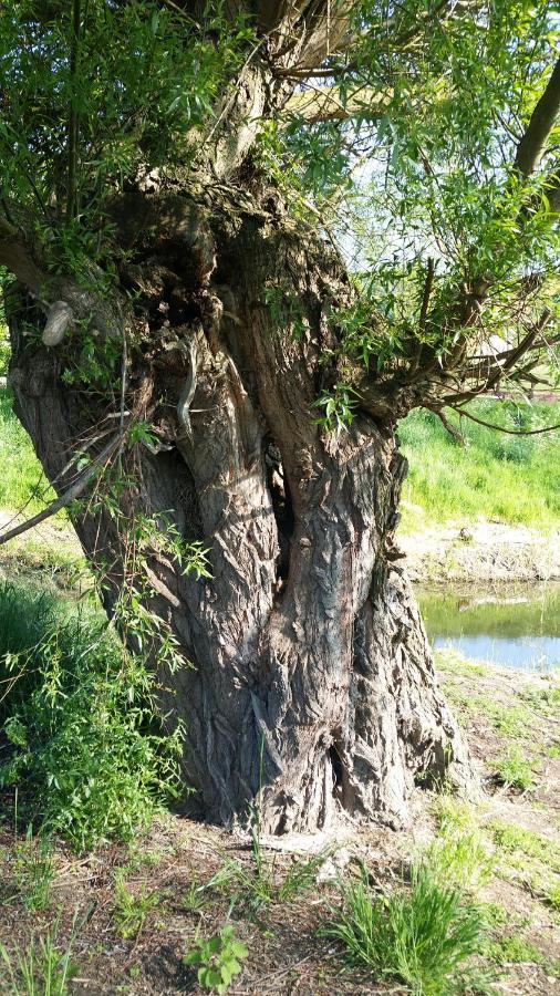 Willowcroft Alkborough ภายนอก รูปภาพ